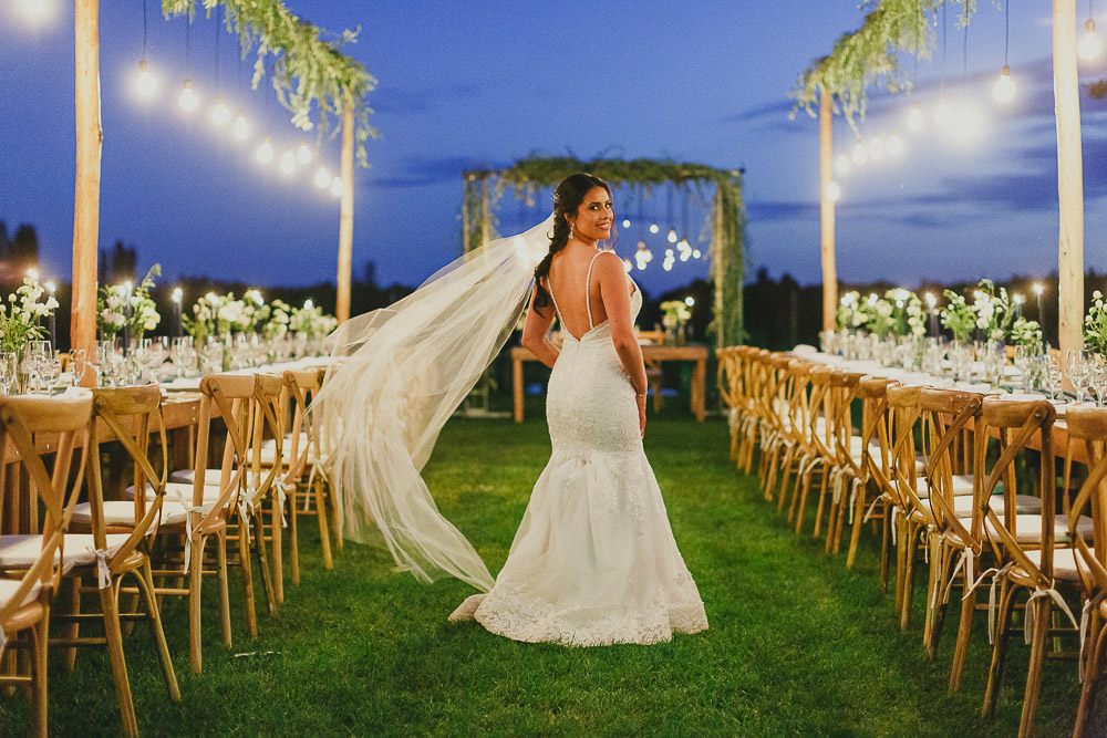 noiva e seu vestido de noiva posam com o cenário de casamento ao ar livre em uma vinícola em mendoza